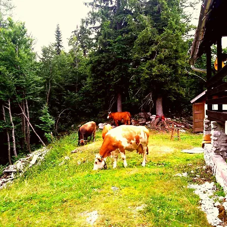 Chalet Zala At Vogel Mountain - Cable Car Access Or Hiking - Not Reachable With Car