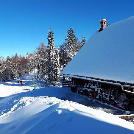 Chalet Zala At Vogel Mountain - Cable Car Access Or Hiking - Not Reachable With Car Penzion